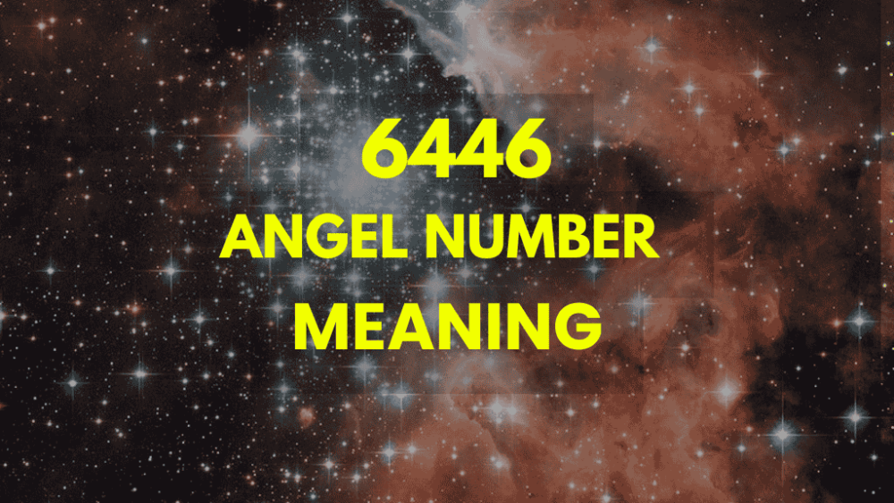 6446 angel number