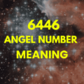 6446 angel number