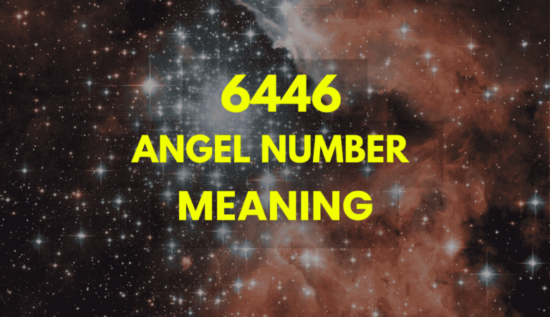 6446 angel number