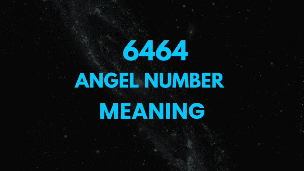 6464 angel number