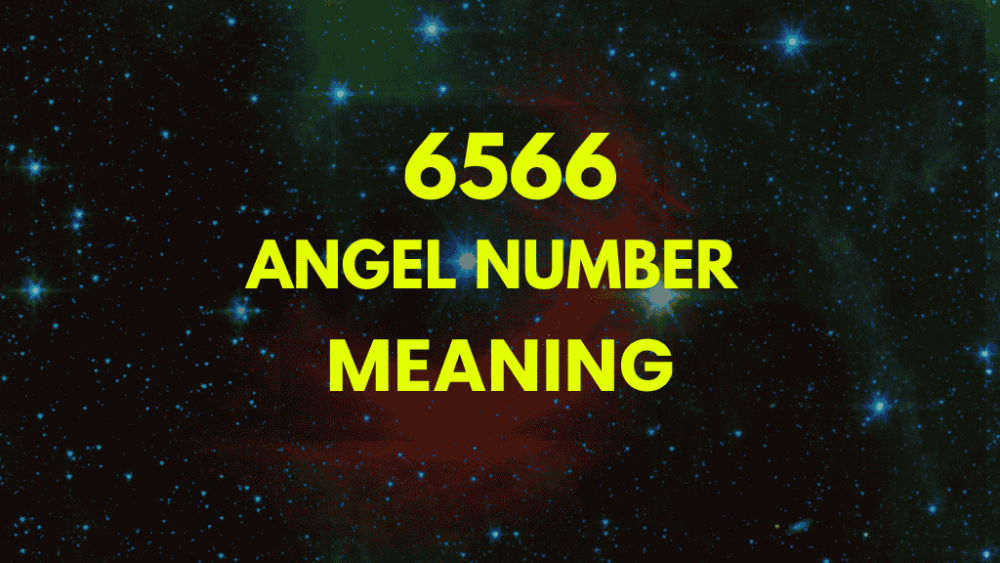 6566 angel number