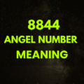 8844 angel number