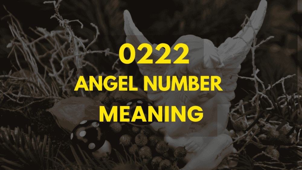 0222 angel number