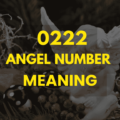 0222 angel number