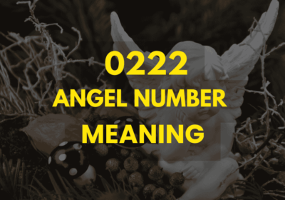 0222 angel number