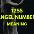 1255 angel number