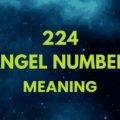 224 angel number