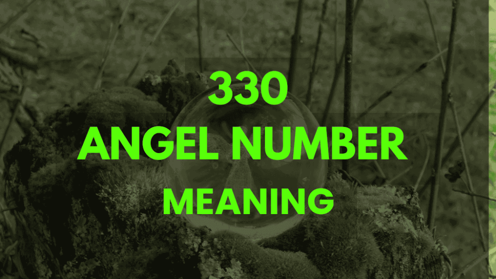 330 angel number