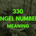 330 angel number