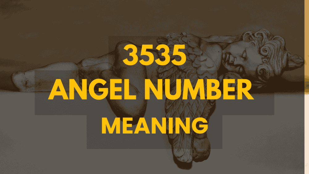 3535 angel number