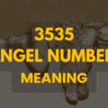 3535 angel number