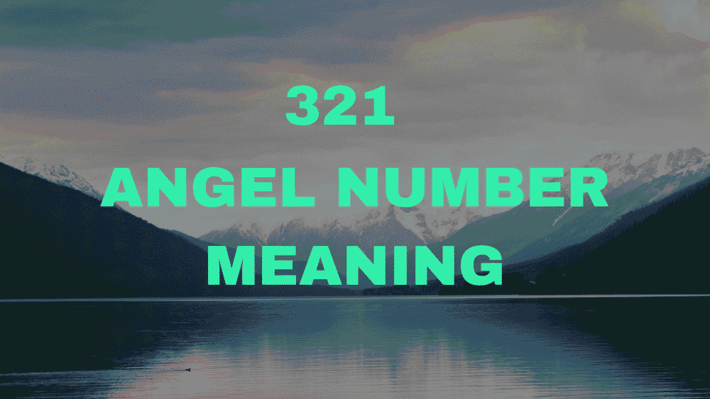 321 Angel Number