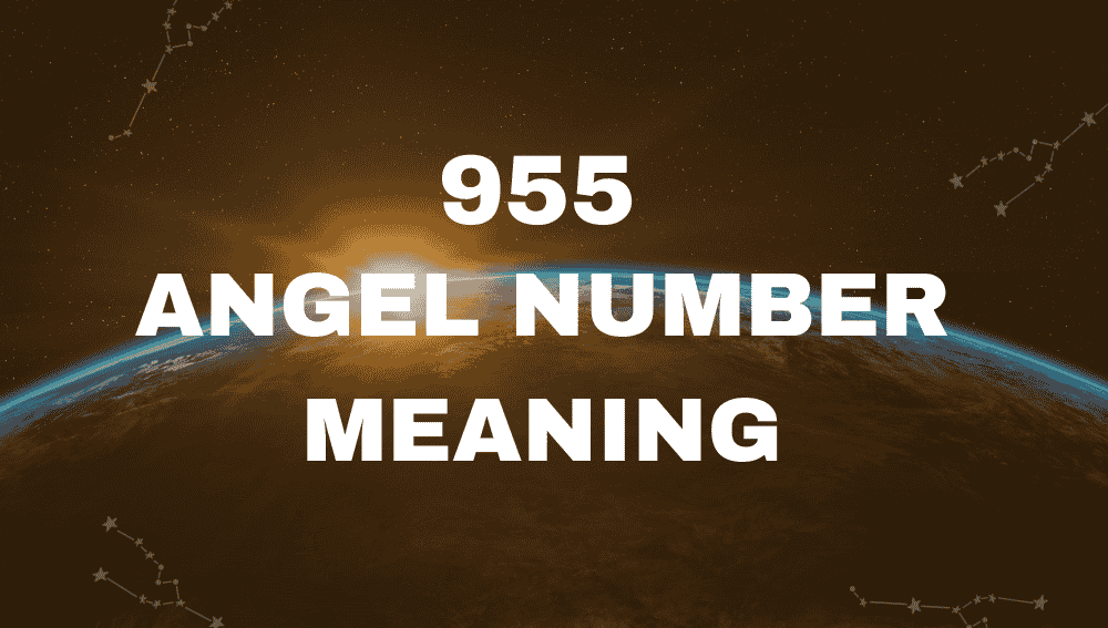 955 Angel Number