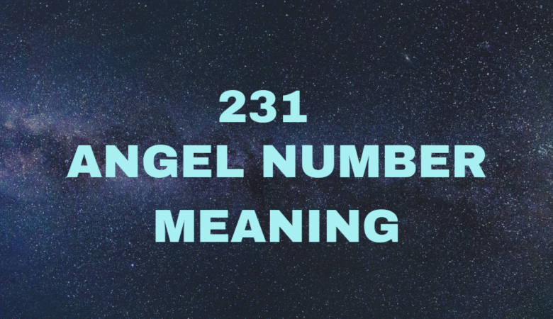 231 Angel Number