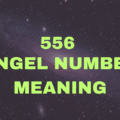556 Angel Number