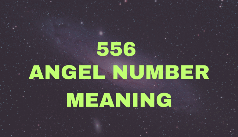 556 Angel Number