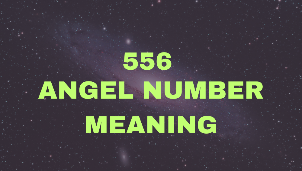 556 Angel Number