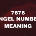 7878 Angel Number