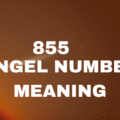 855 Angel Number