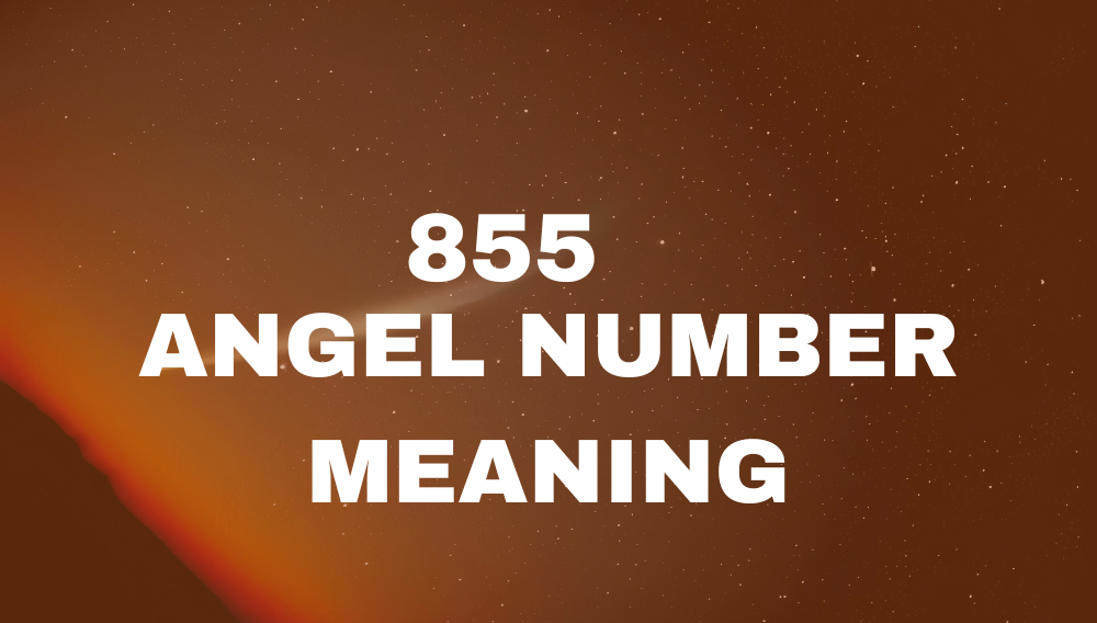 855 Angel Number